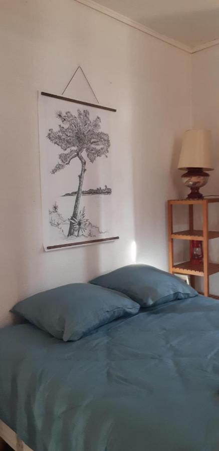 Villa D'Artiste Comprenant 2 Chambres Avec Salles De Bain Privatives Arcachon Dış mekan fotoğraf